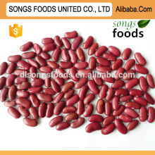 Hot sale high protein red kidney beans import